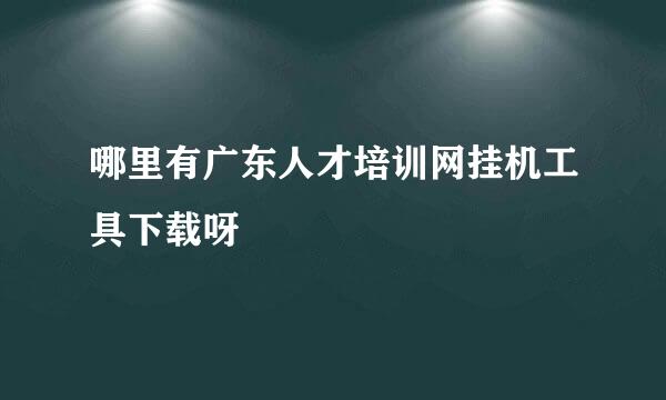 哪里有广东人才培训网挂机工具下载呀