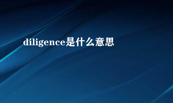 diligence是什么意思