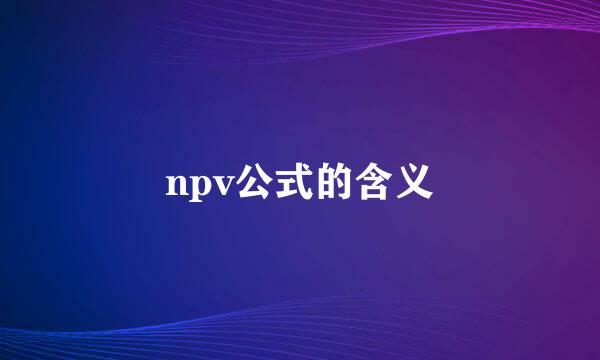 npv公式的含义