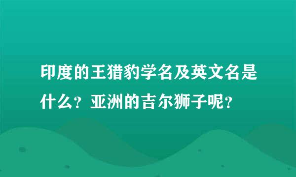 印度的王猎豹学名及英文名是什么？亚洲的吉尔狮子呢？