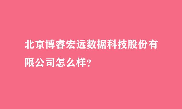 北京博睿宏远数据科技股份有限公司怎么样？