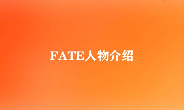 FATE人物介绍