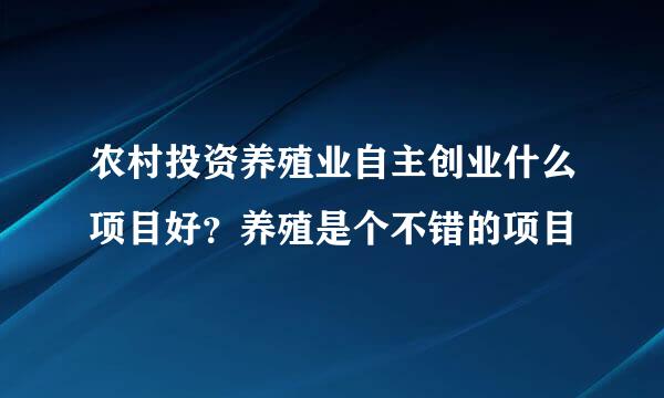 农村投资养殖业自主创业什么项目好？养殖是个不错的项目