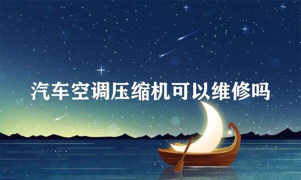 汽车空调压缩机可以维修吗