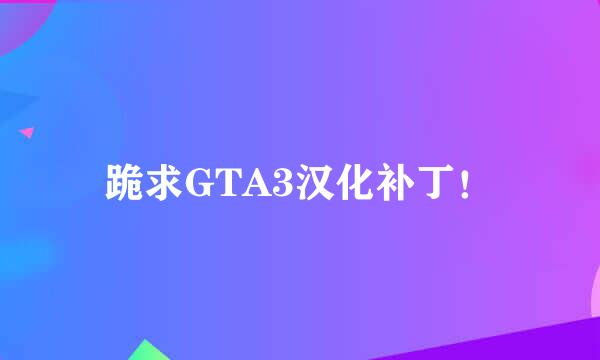 跪求GTA3汉化补丁！