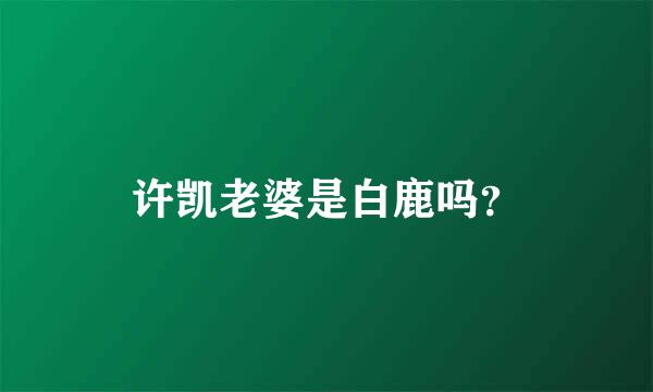 许凯老婆是白鹿吗？