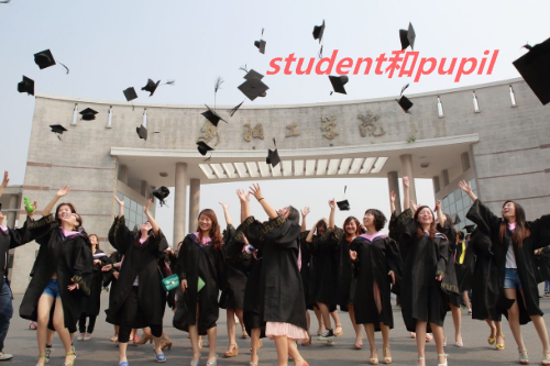 请问student和pupil的区别是什么？