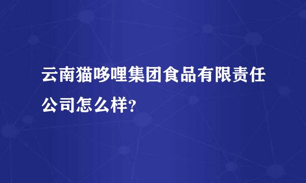 云南猫哆哩集团食品有限责任公司怎么样？