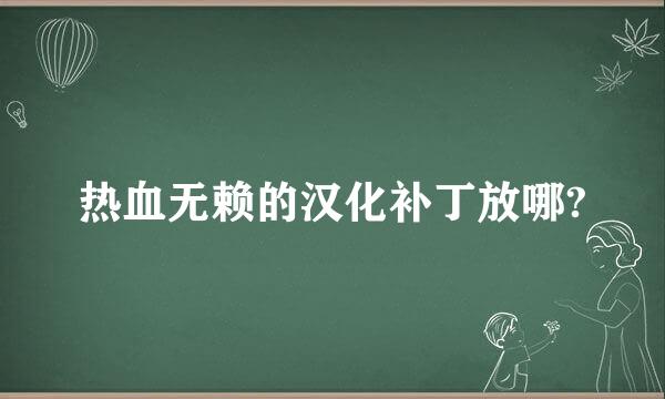 热血无赖的汉化补丁放哪?