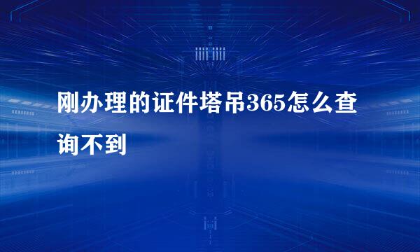 刚办理的证件塔吊365怎么查询不到