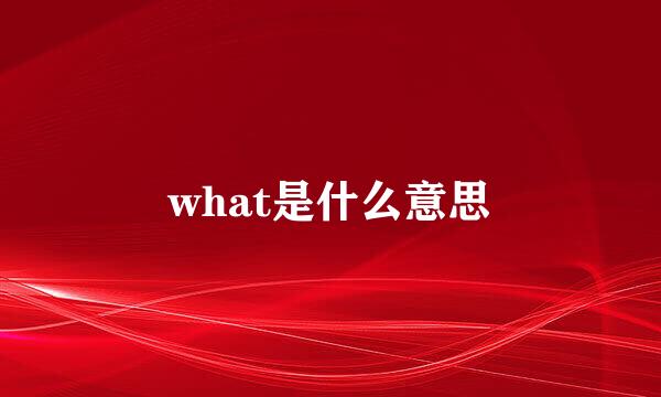 what是什么意思