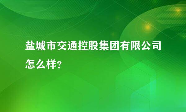 盐城市交通控股集团有限公司怎么样？