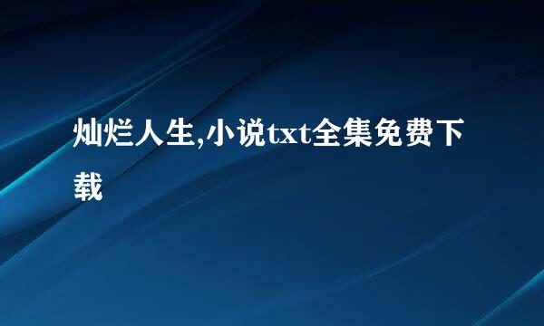 灿烂人生,小说txt全集免费下载