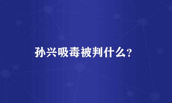 孙兴吸毒被判什么？