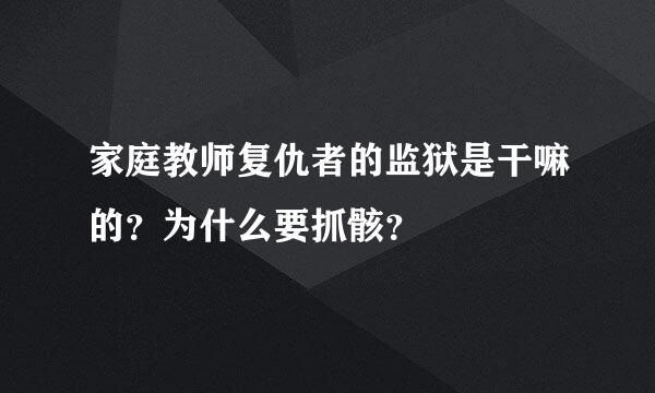 家庭教师复仇者的监狱是干嘛的？为什么要抓骸？