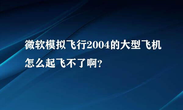 微软模拟飞行2004的大型飞机怎么起飞不了啊？