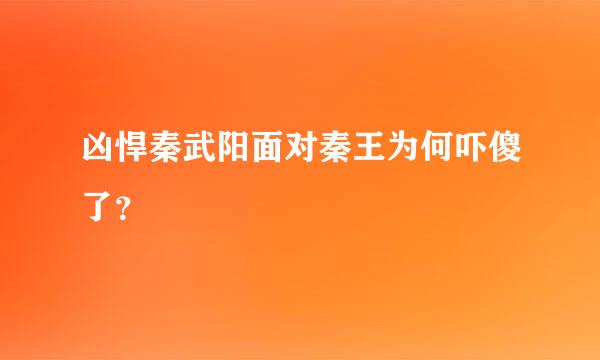 凶悍秦武阳面对秦王为何吓傻了？