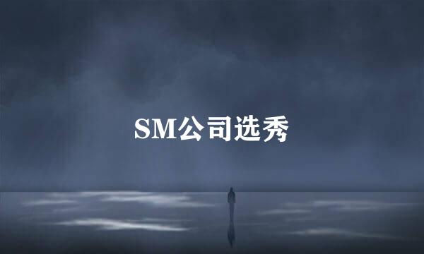 SM公司选秀