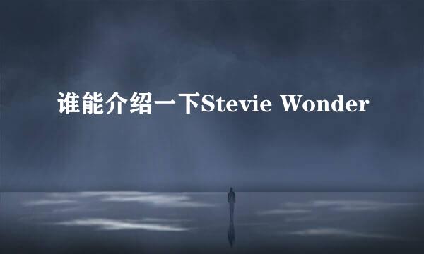 谁能介绍一下Stevie Wonder