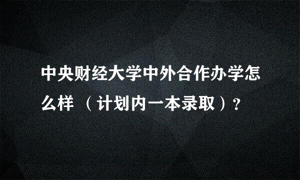 中央财经大学中外合作办学怎么样 （计划内一本录取）？