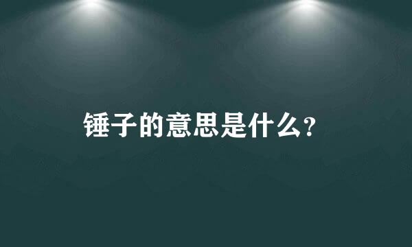 锤子的意思是什么？