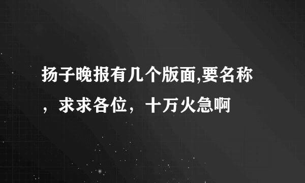 扬子晚报有几个版面,要名称，求求各位，十万火急啊