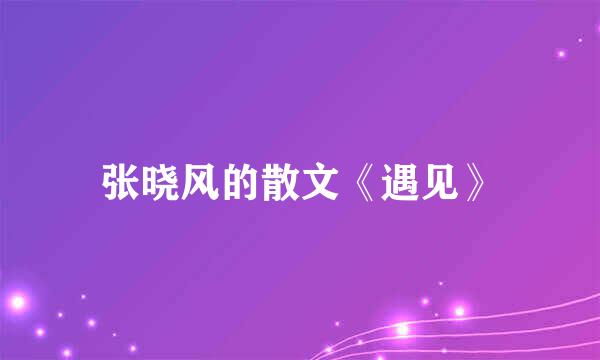 张晓风的散文《遇见》