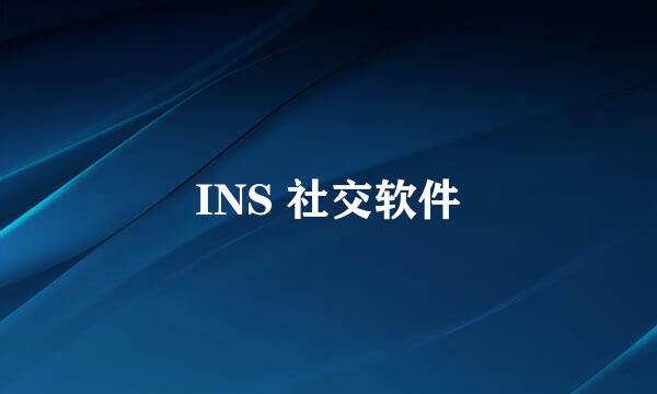 INS 社交软件