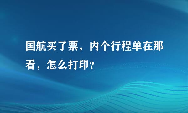 国航买了票，内个行程单在那看，怎么打印？