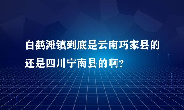 白鹤滩镇到底是云南巧家县的还是四川宁南县的啊？