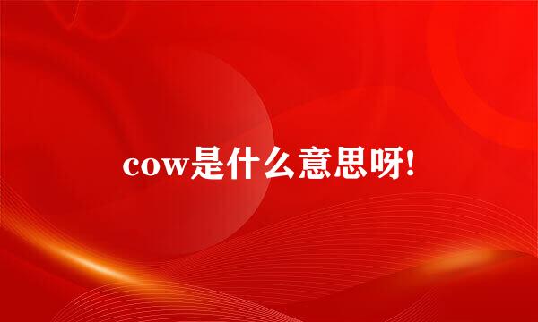 cow是什么意思呀!