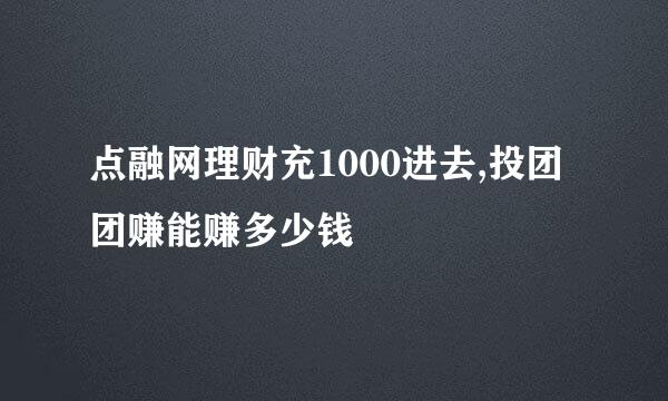 点融网理财充1000进去,投团团赚能赚多少钱