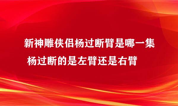 新神雕侠侣杨过断臂是哪一集 杨过断的是左臂还是右臂