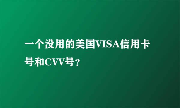 一个没用的美国VISA信用卡号和CVV号？