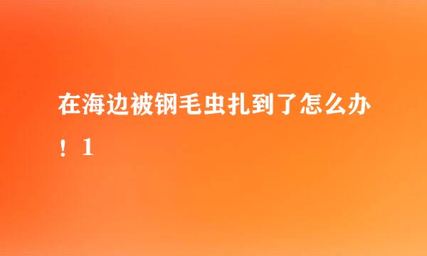 在海边被钢毛虫扎到了怎么办！1