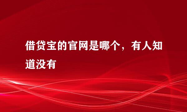 借贷宝的官网是哪个，有人知道没有