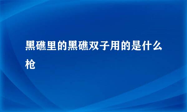 黑礁里的黑礁双子用的是什么枪