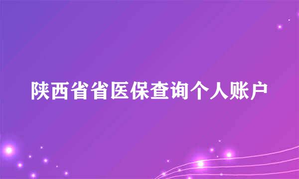 陕西省省医保查询个人账户