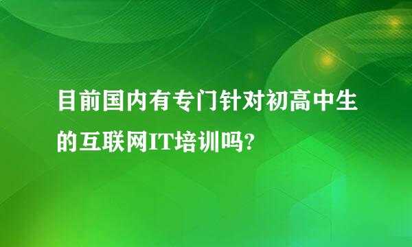 目前国内有专门针对初高中生的互联网IT培训吗?