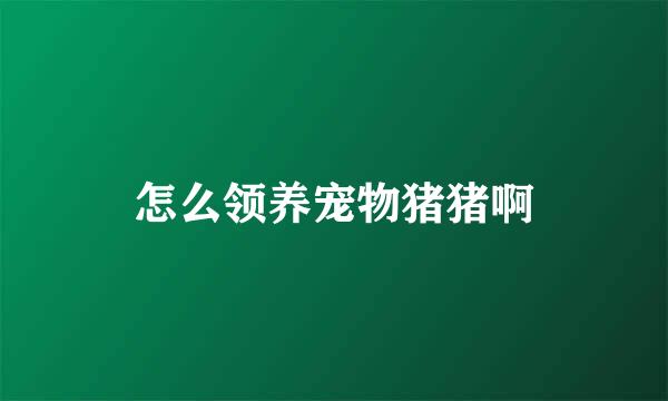 怎么领养宠物猪猪啊