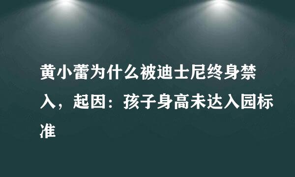 黄小蕾为什么被迪士尼终身禁入，起因：孩子身高未达入园标准