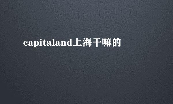 capitaland上海干嘛的