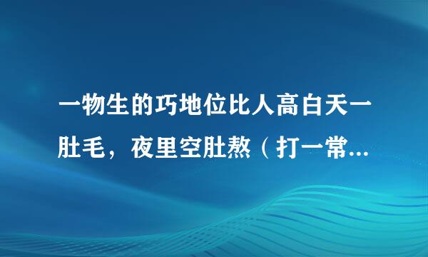 一物生的巧地位比人高白天一肚毛，夜里空肚熬（打一常见物）？