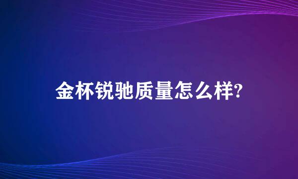 金杯锐驰质量怎么样?