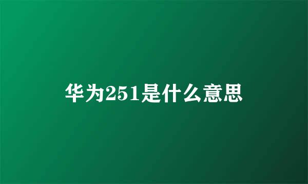 华为251是什么意思