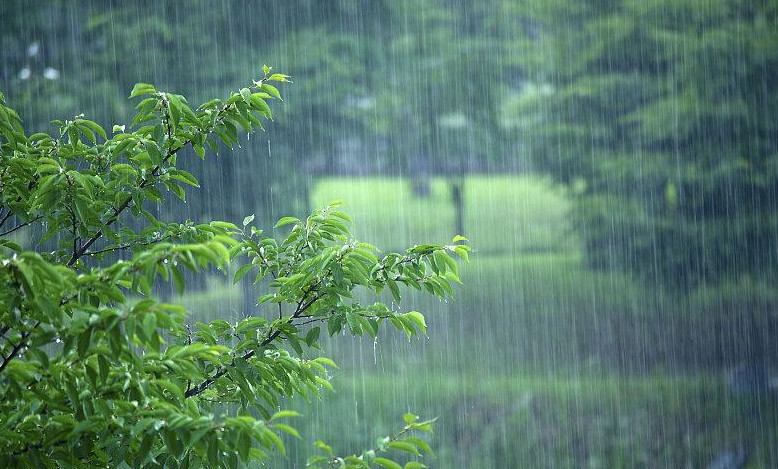 苏州梅雨季节是什么时间2023