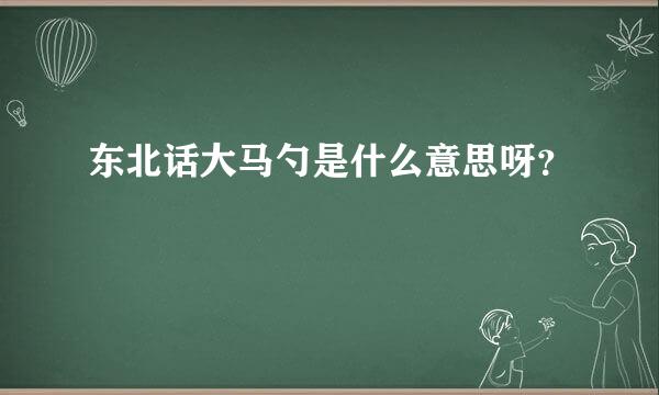 东北话大马勺是什么意思呀？