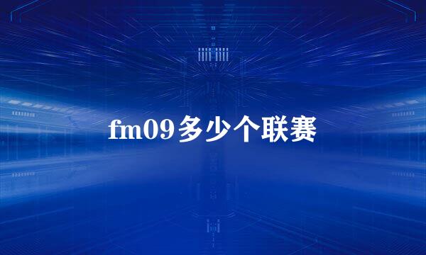 fm09多少个联赛