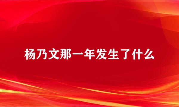 杨乃文那一年发生了什么