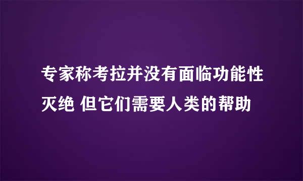 专家称考拉并没有面临功能性灭绝 但它们需要人类的帮助